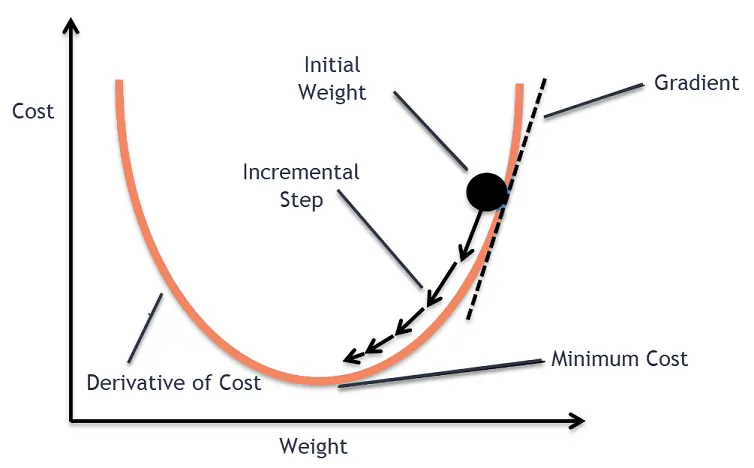 Gradient Descent Matters in Machine Learning