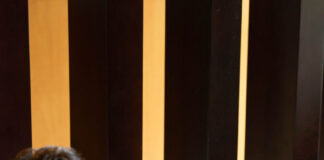 Mastering the Independent Variable: A Complete Guide for Data and Research Success Mastering the Independent Variable: A Complete Guide for Data and Research Success