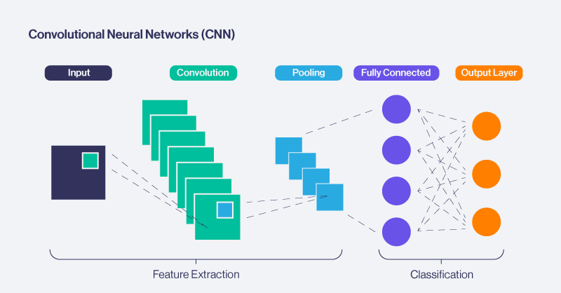 Convolutional Neural Networks (CNNs)