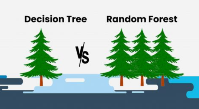Random Forest vs Decision Tree: The Ultimate Power Guide to Smarter Machine Learning Models