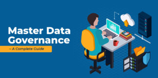 Master Data Governance for Enterprise Scale Person working on data governance project