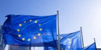 Understanding the EU AI Act 2026 – DataExpertise