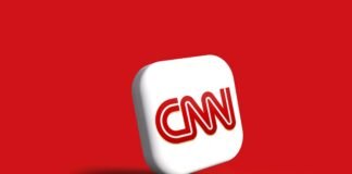 Exploring Image Intelligence with CNN Architecture | Deep Learning Guide