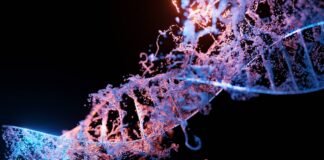 Optimizing Complex Problems Using Genetic Algorithms in Modern Artificial Intelligence – DataExpertise