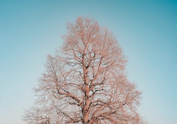 gradient-boosting-decision-tree-guide