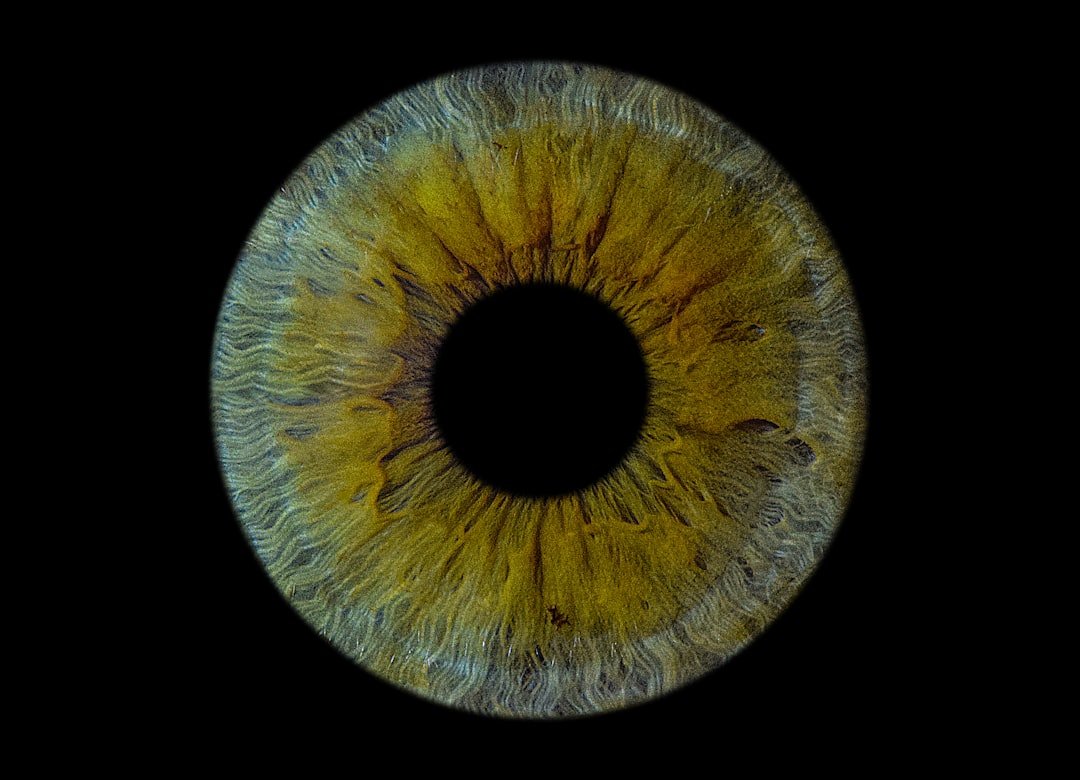 A Complete Guide to Iris Dataset for Data Science Beginners ...