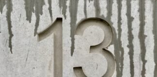 Palindrome Number: The Ultimate Power Guide for Learners and Coders