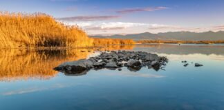 What is Delta Lake: The Ultimate Power Guide to Reliable Data Lakes