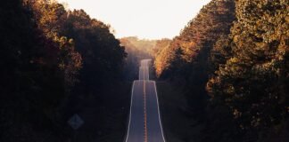Data Science Career Roadmap 2026: Skills, Timeline and Salary Guide for India