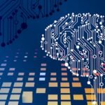 ML Engineer vs Data Scientist: Key Differences and Which to Choose (2026) 6 ml engineer vs data scientist career gui