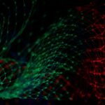 self supervised contrastive learning sim